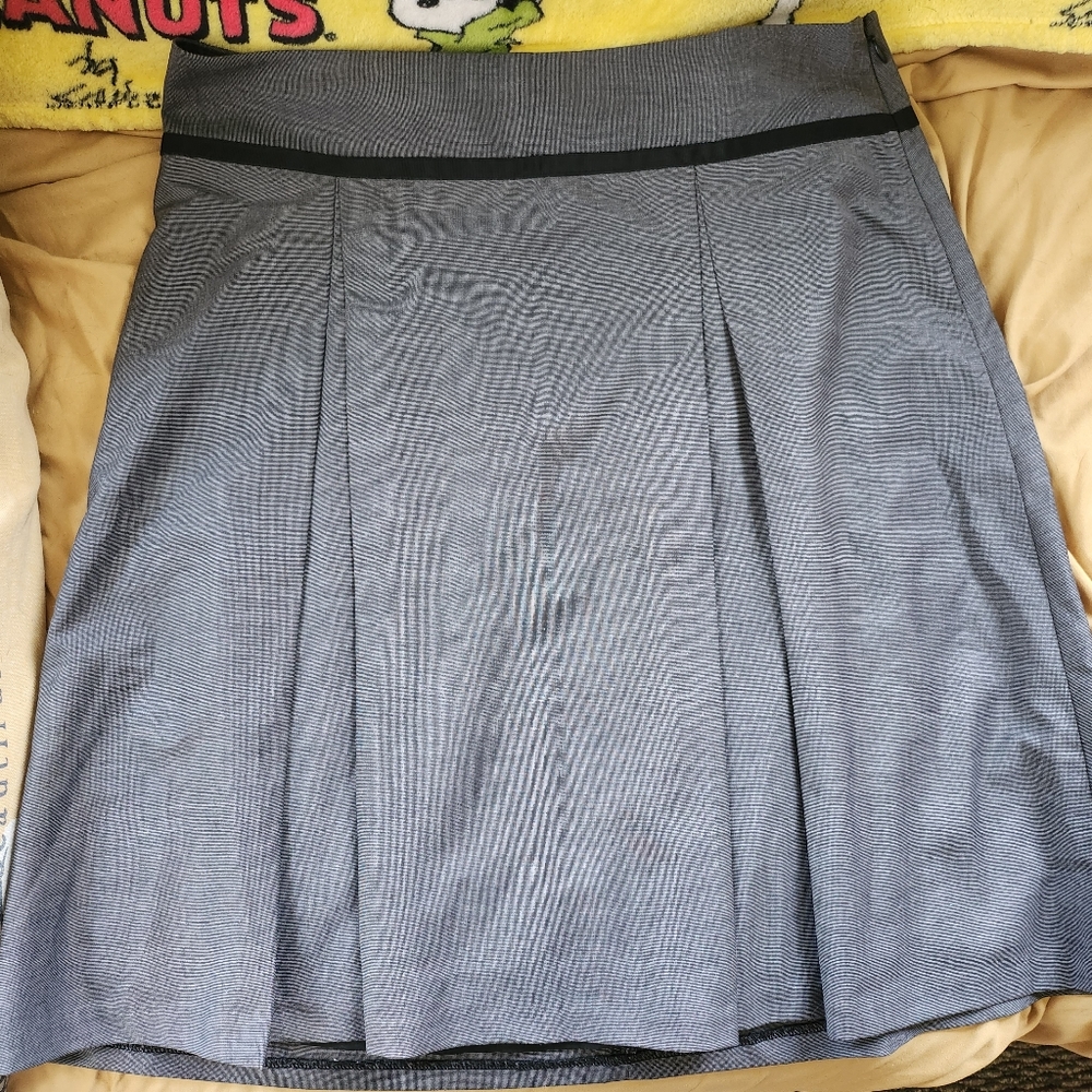 Pleated Mini skirt The Limited